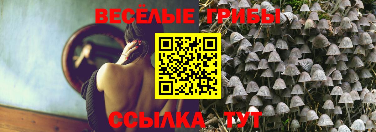 Анжеро-Судженск  Галлюциногенные грибы Cubensis  Вход с VPN 